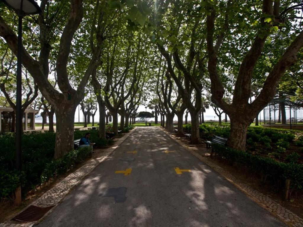 Apartamento 1 Quarto, Com Patio, Em Frente Praia Paço de Arcos Exterior foto